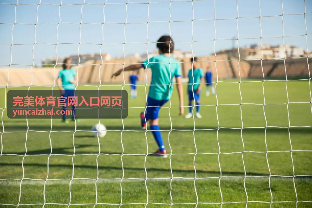 完美体育官网入口网页的常用入口页面示意