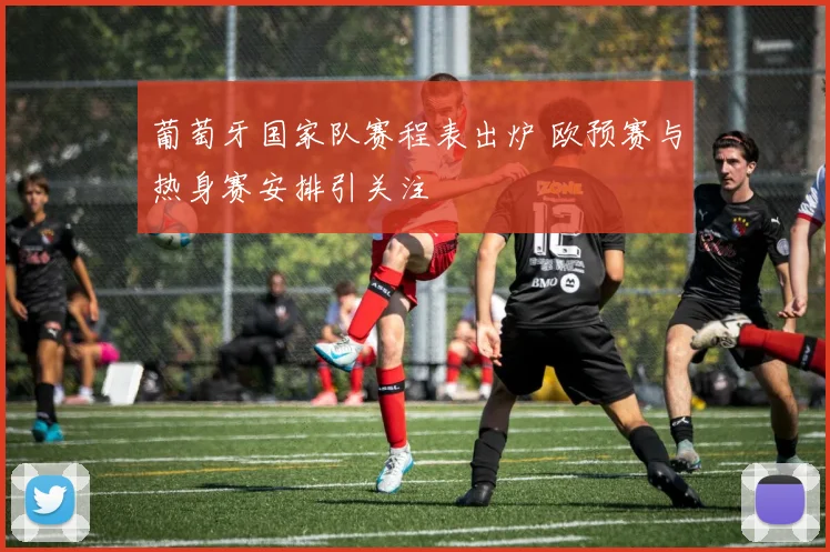 葡萄牙国家队赛程表出炉 欧预赛与热身赛安排引关注