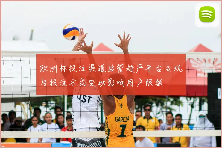 欧洲杯投注渠道监管趋严平台合规与投注方式变动影响用户限额