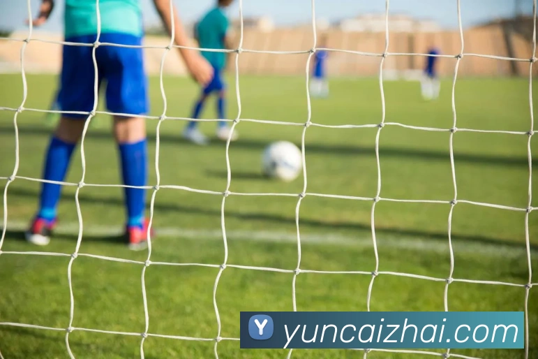 米兰官网入口平台生态图